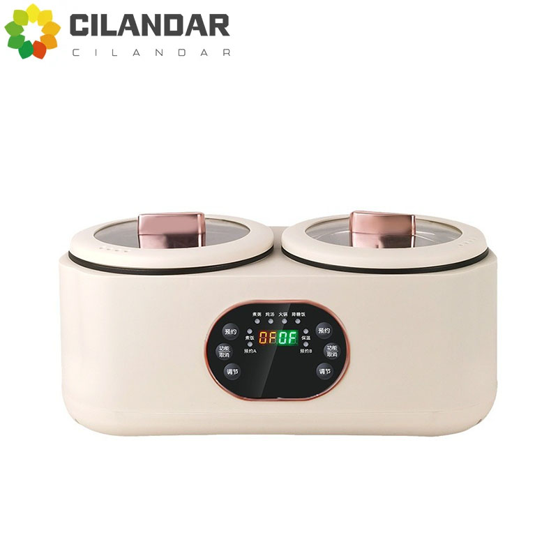 3D Printing Vase - Double Gallbladder Electric Rice Cooker Multifunctional