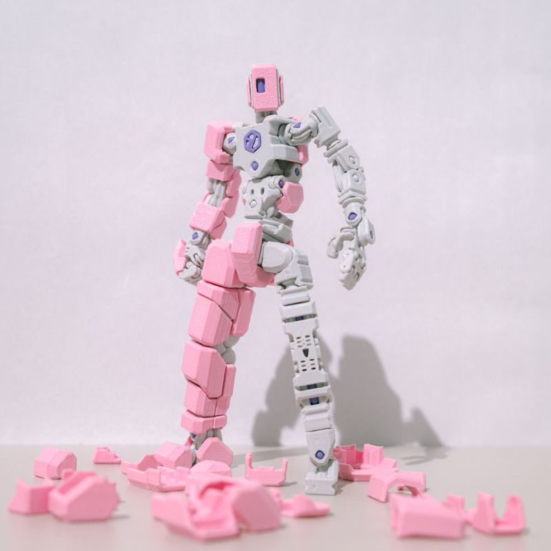 3D Printing Robot - New Articulated Action Figure 3D Printed