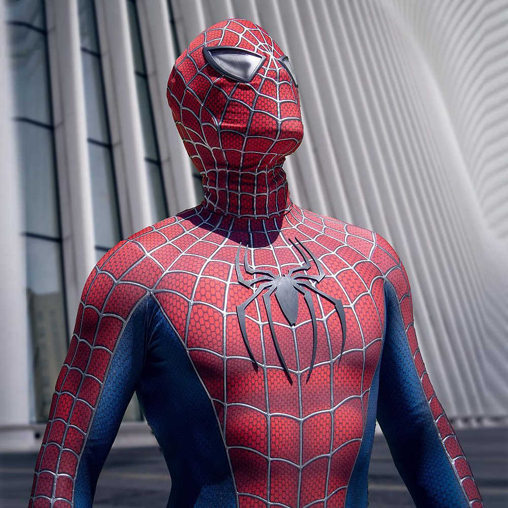 Classic Maguire Raimi SpiderMa - 3D Printing Logo recension och pris